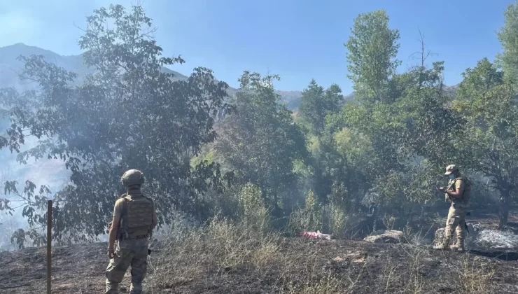 Tunceli’de çıkan örtü yangını kontrol altına alındı